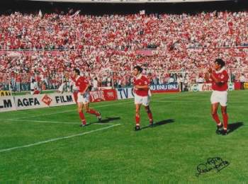 Rui Costa
